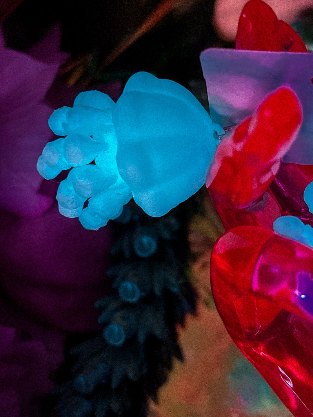 🪼 BIO-LUME JELYS 🪼