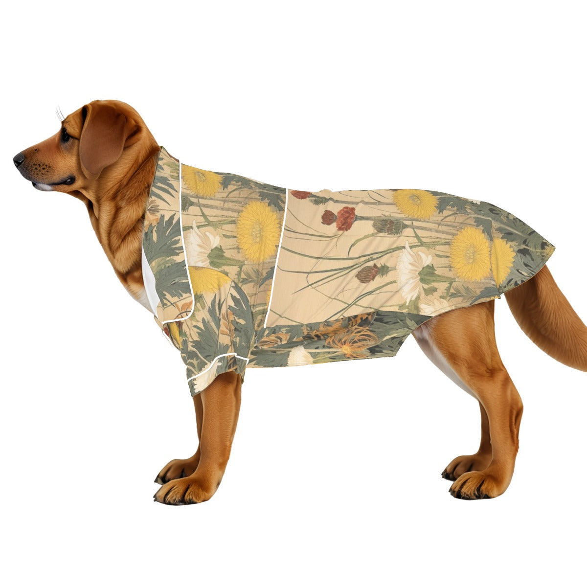 Down to Earth Pet Apparel