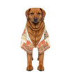 Down to Earth Pet Apparel