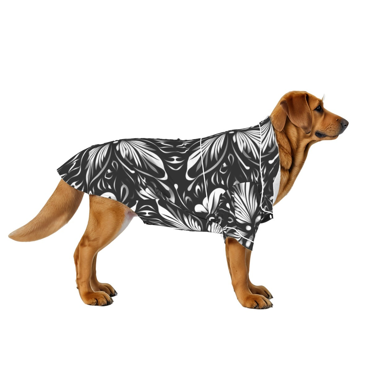 Spooky SZN Pet Apparel