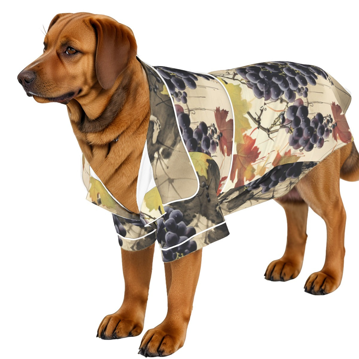 Down to Earth Pet Apparel