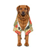 Down to Earth Pet Apparel