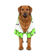 Sharp Light Pet Apparel