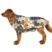 Down to Earth Pet Apparel