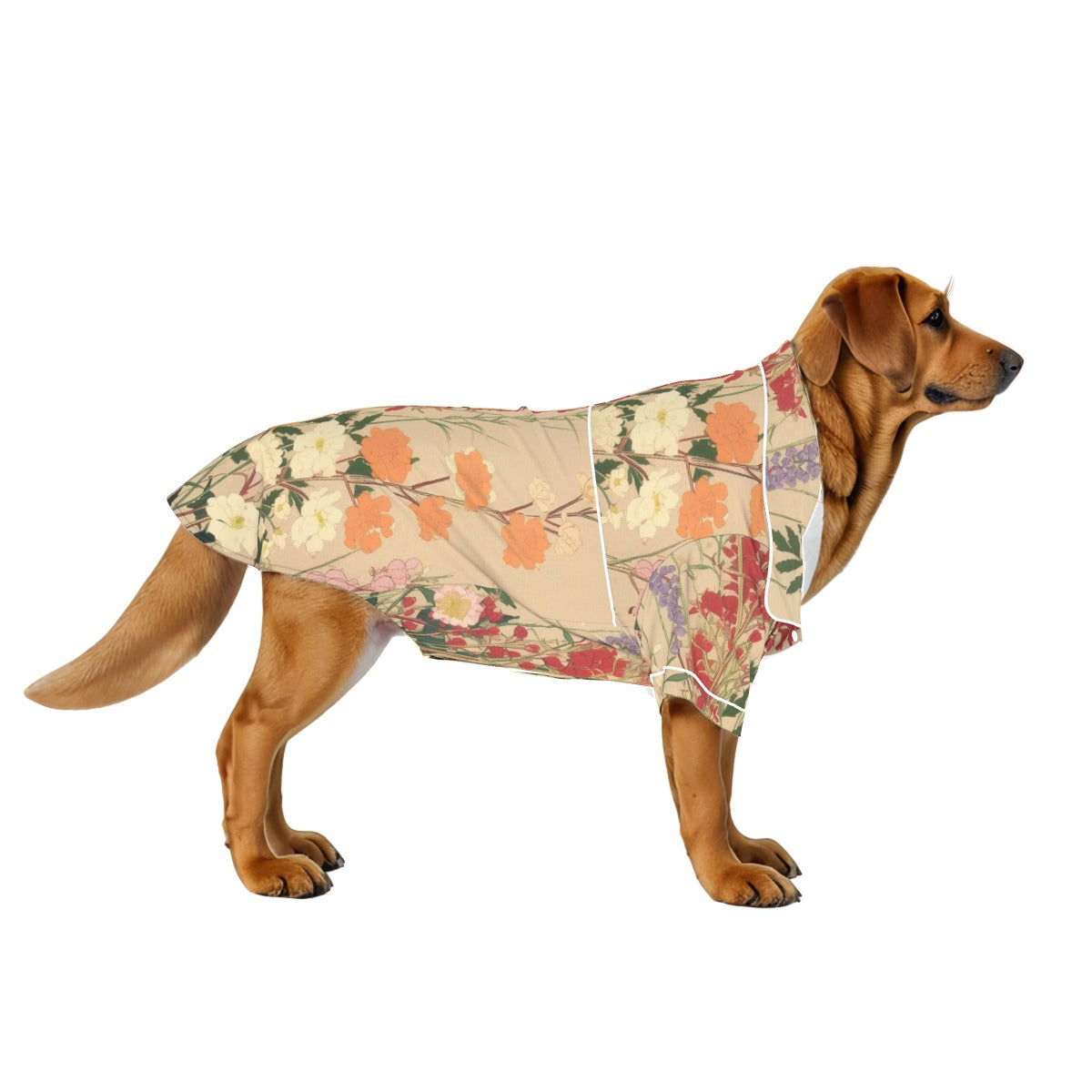 Down to Earth Pet Apparel