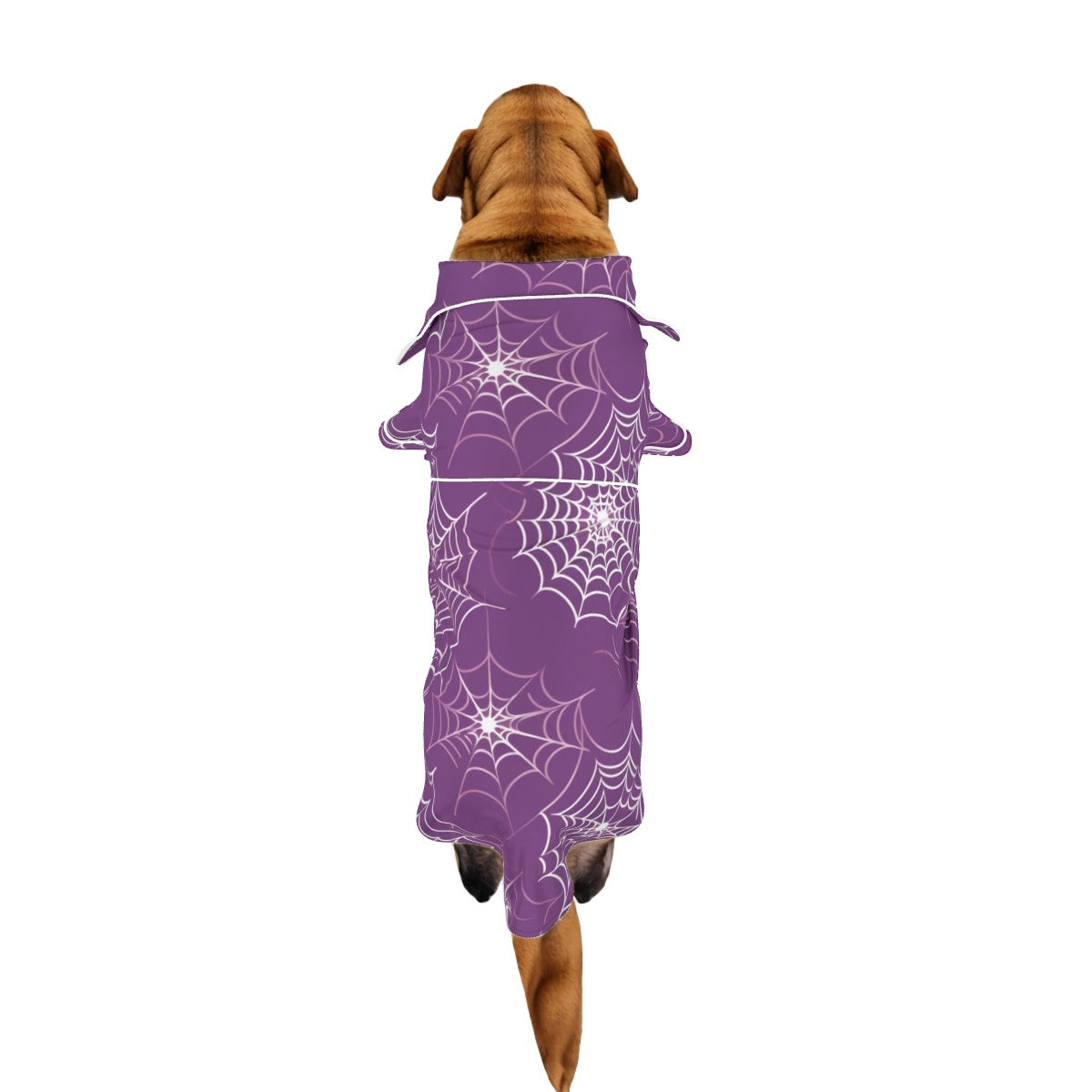 Spooky SZN Pet Apparel