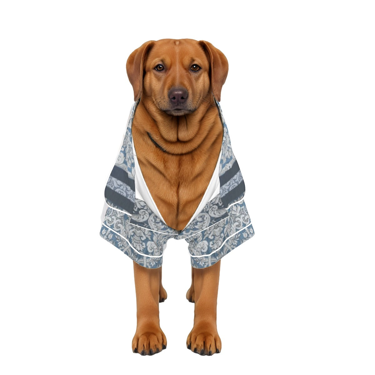 Down to Earth Pet Apparel