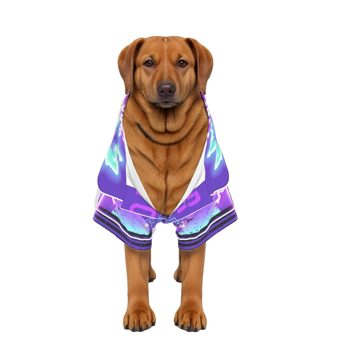 Sharp Light Pet Apparel