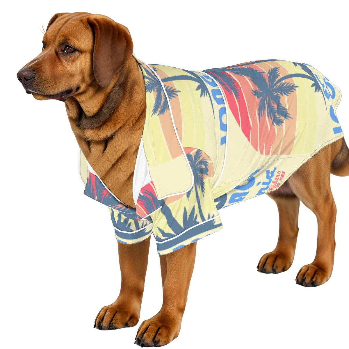 Sharp Light Pet Apparel