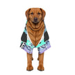 Sharp Light Pet Apparel