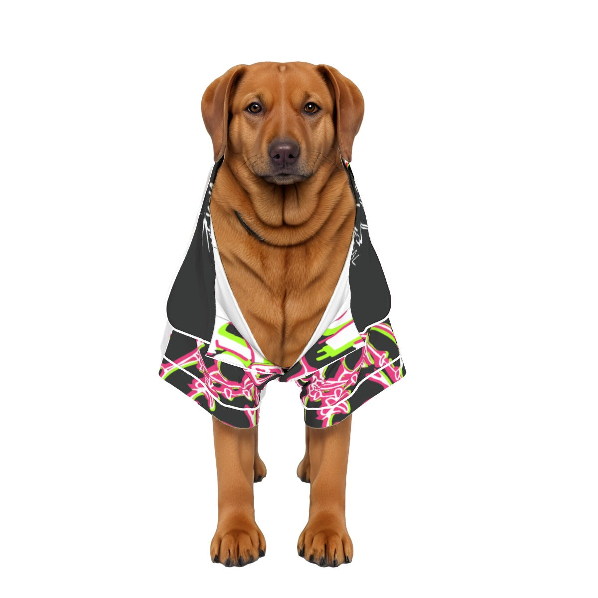 Sharp Light Pet Apparel