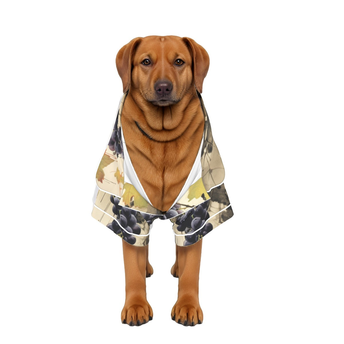 Down to Earth Pet Apparel