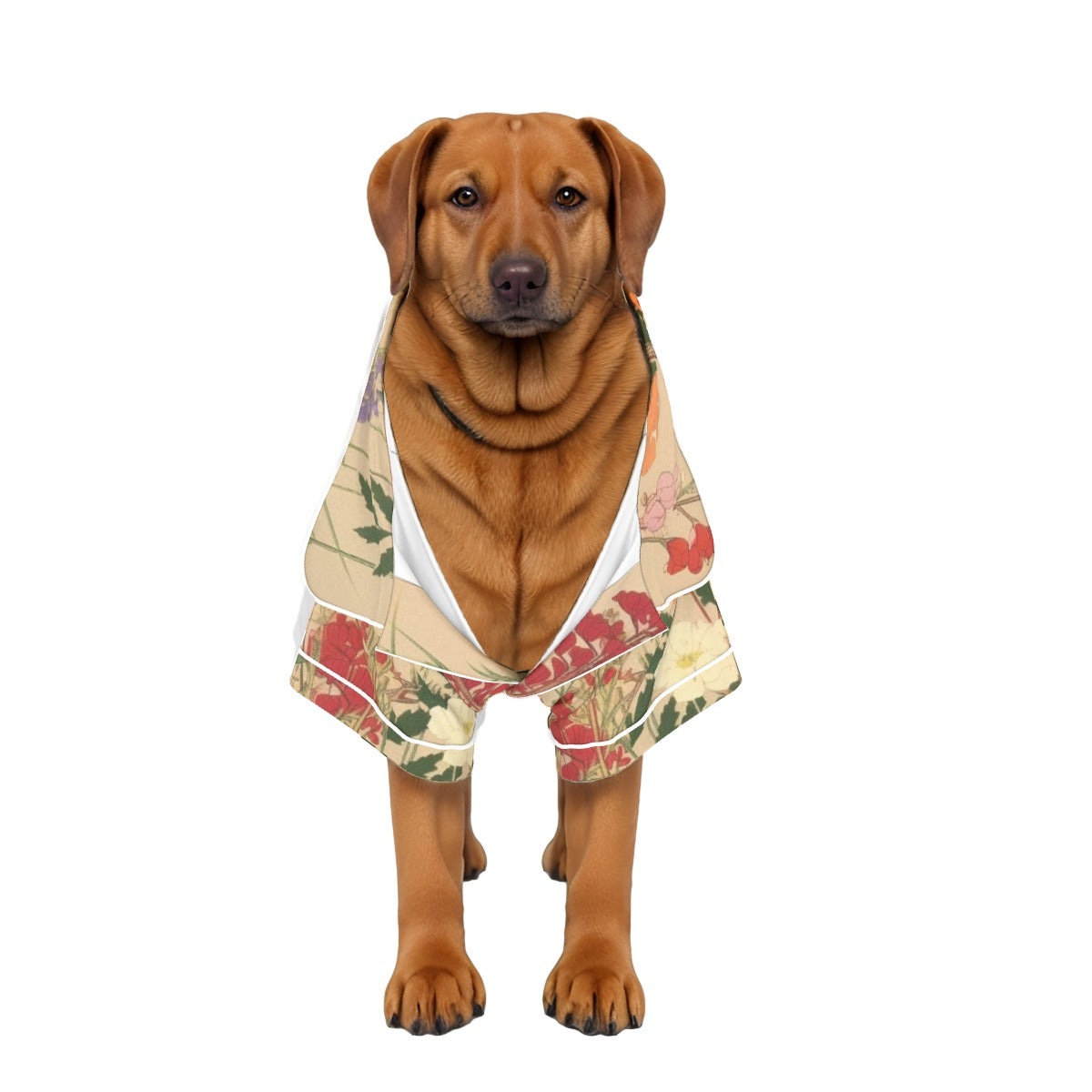 Down to Earth Pet Apparel