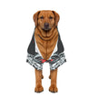 Rogue Pet Apparel